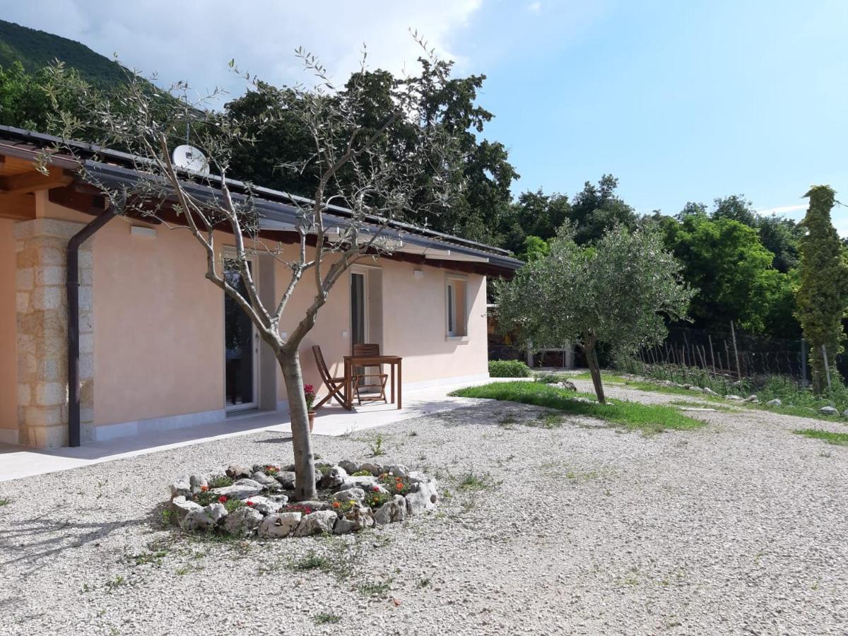 B&B Le Agavi Борсо дел Грапа Екстериор снимка